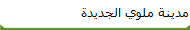 مدينة ملوي الجديدة